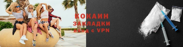 сатива Арсеньев