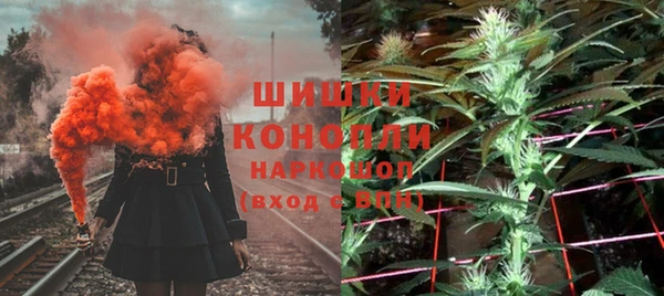 сатива Арсеньев