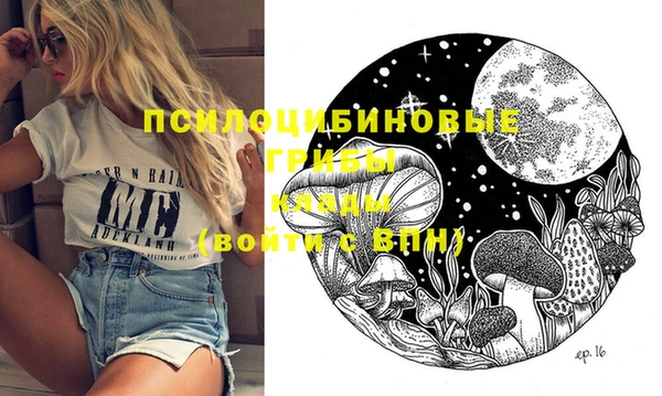 сатива Арсеньев
