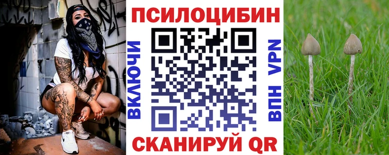 магазин продажи наркотиков  Починок  Псилоцибиновые грибы Cubensis 